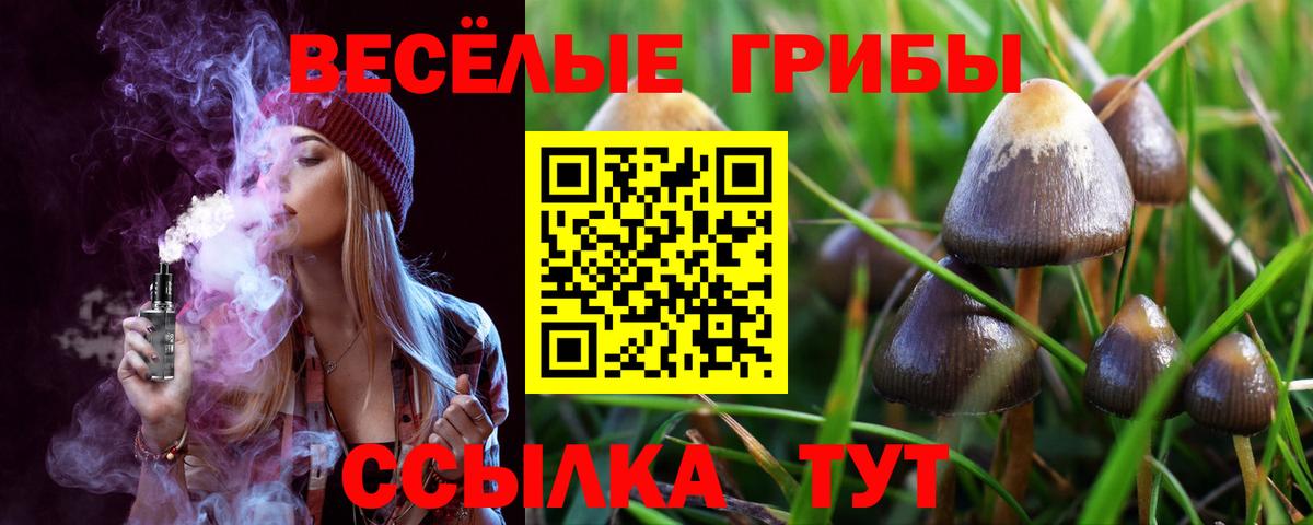 Нижний Тагил  Галлюциногенные грибы Magic Shrooms  Вход с VPN  Псилоцибиновые грибы Cubensis 